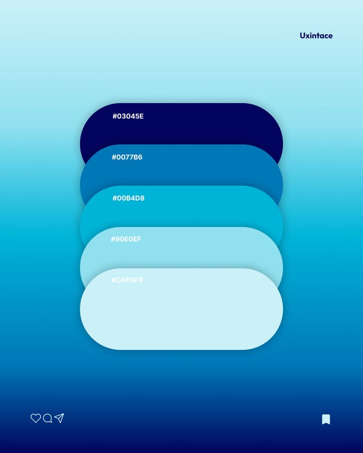 Shield What Matters Most — From Your Daily Drive to Your Biggest Dreams